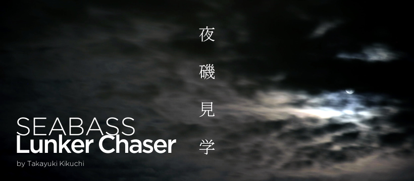 夜磯見学